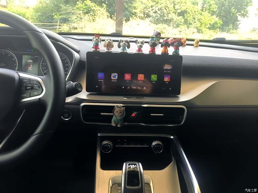 Geely Coolray, 2019 13
