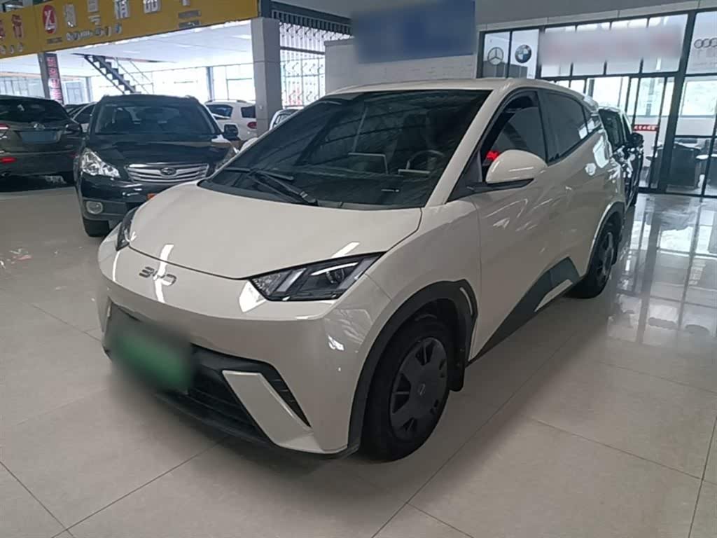 BYD Seagull