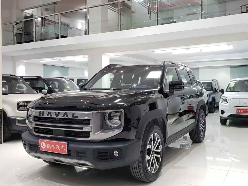 Haval Big dog