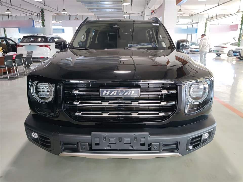 Haval Big dog
