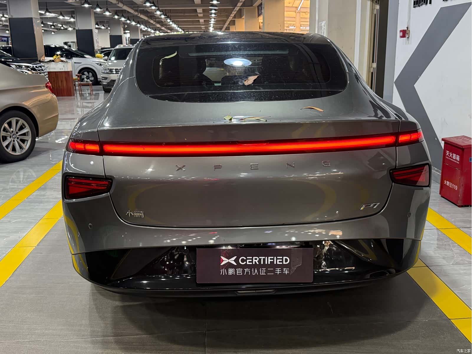 Xpeng P7, 2021 8