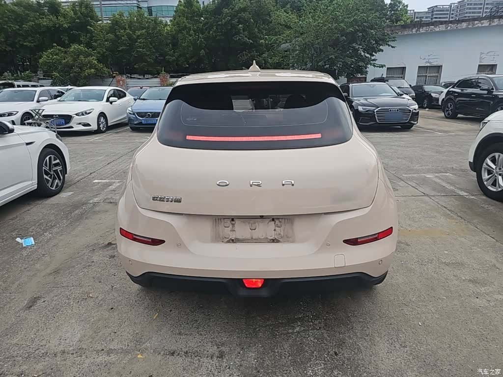 ORA Good Cat, 2025 6