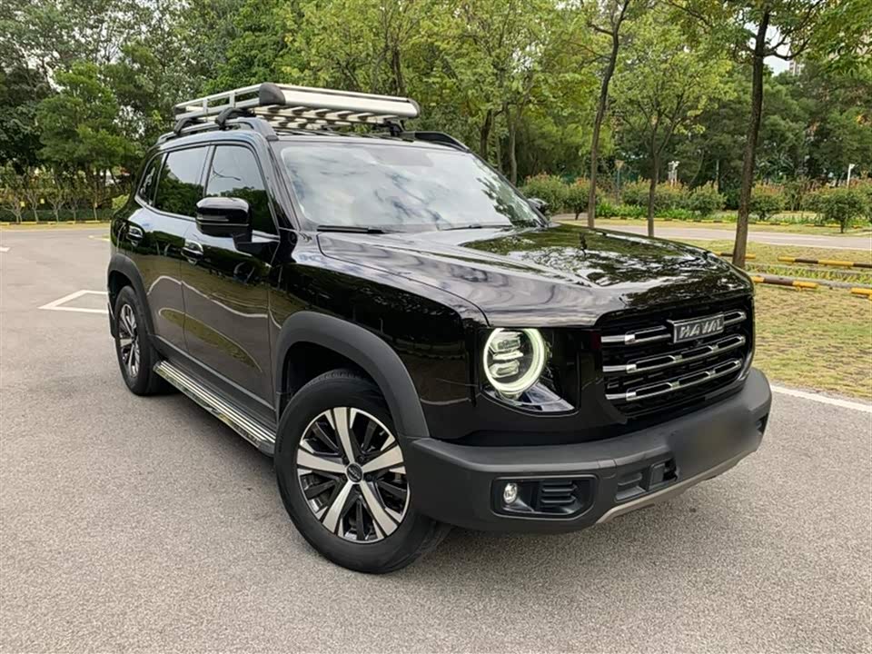 Haval Big dog