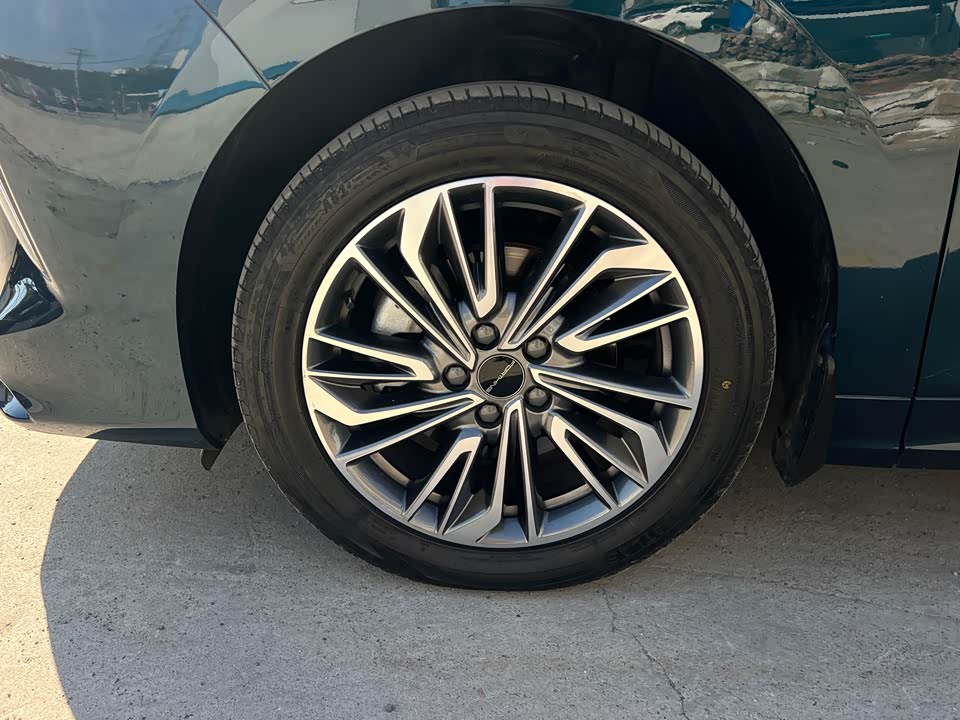 Forthing Popular yachts