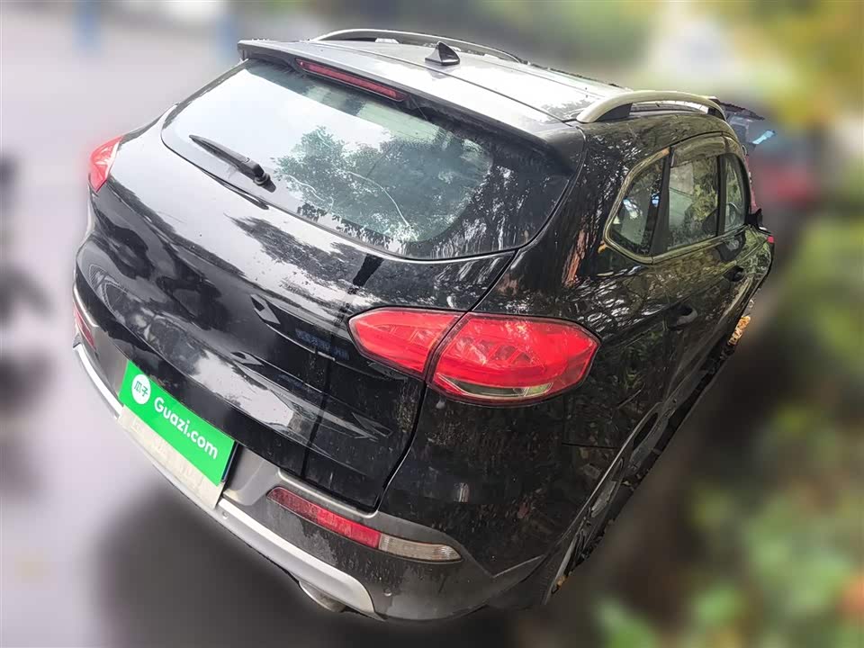 Leopaard Cheetah CS10