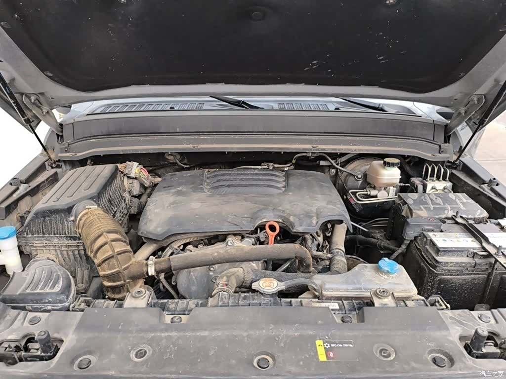 Tank 300, 2023 11