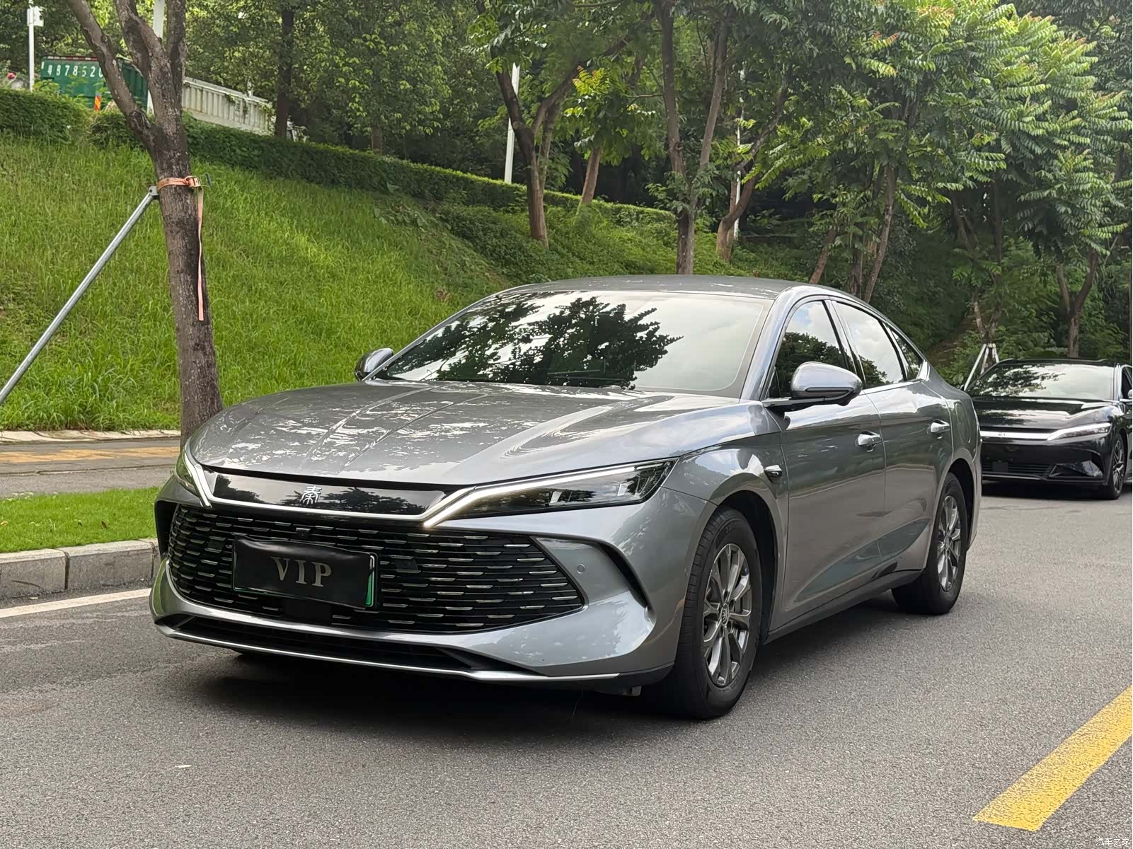 BYD Qin