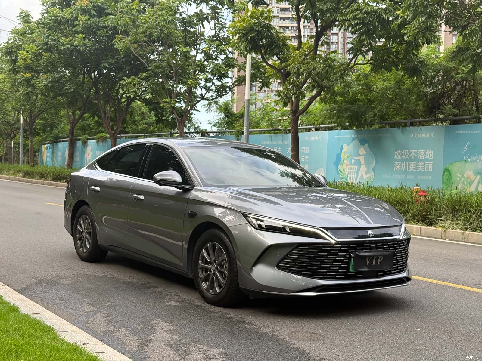 BYD Qin, 2025 все фото