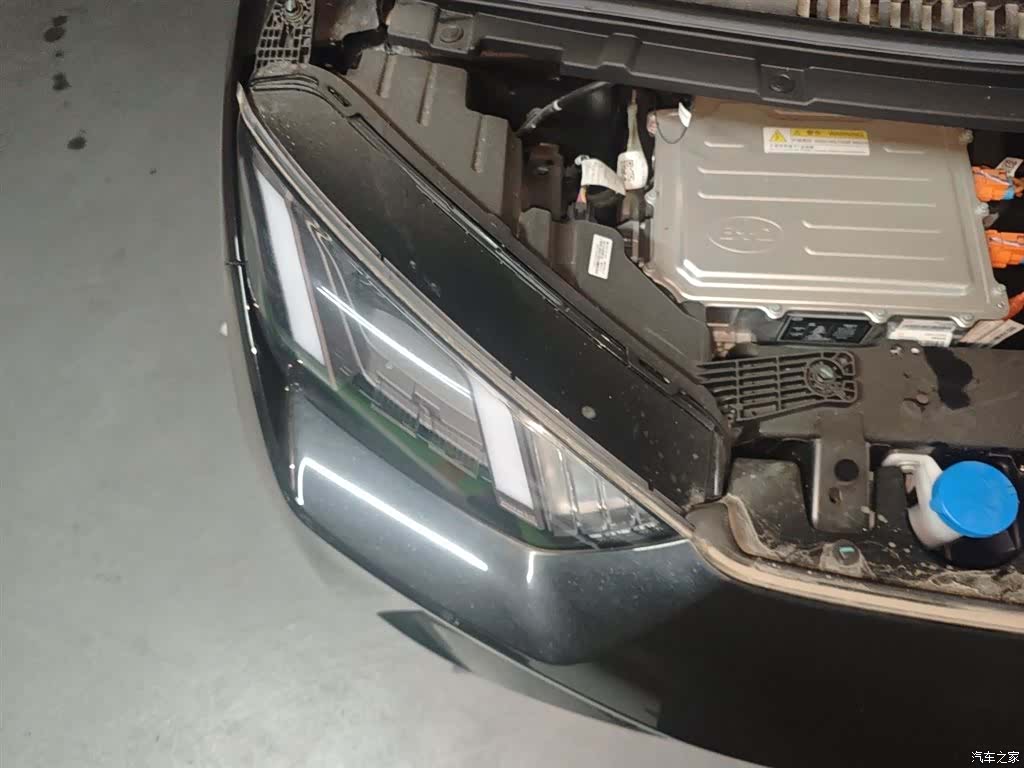 BYD Seagull, 2025 21