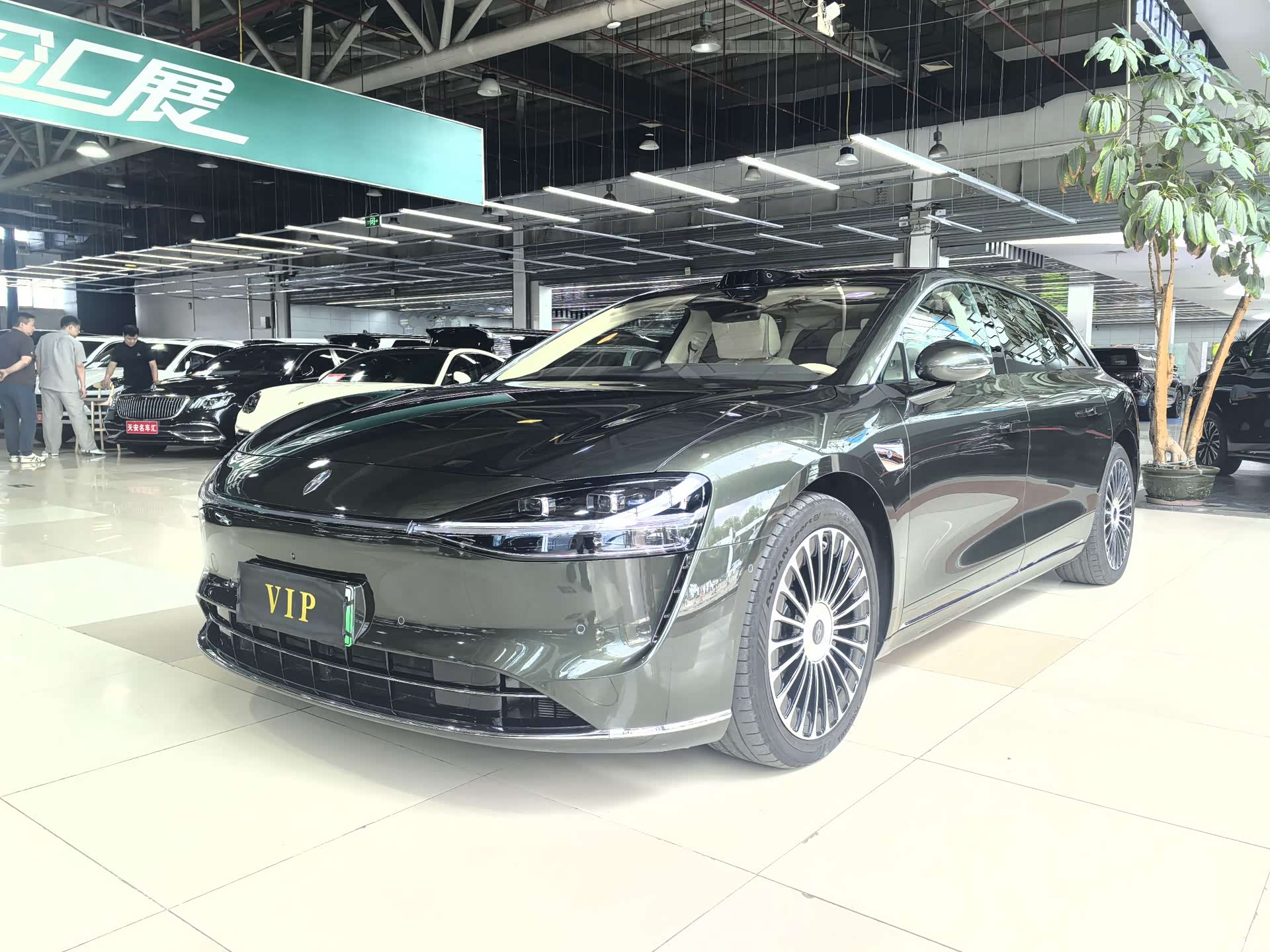 Stelato S9, 2025 1
