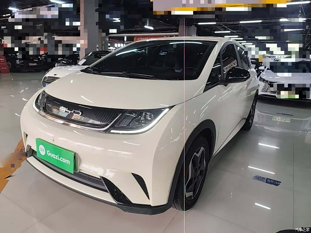 BYD Dolphin, 2022 1