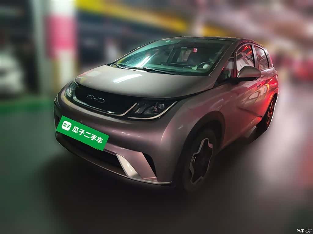 BYD Dolphin, 2022 2