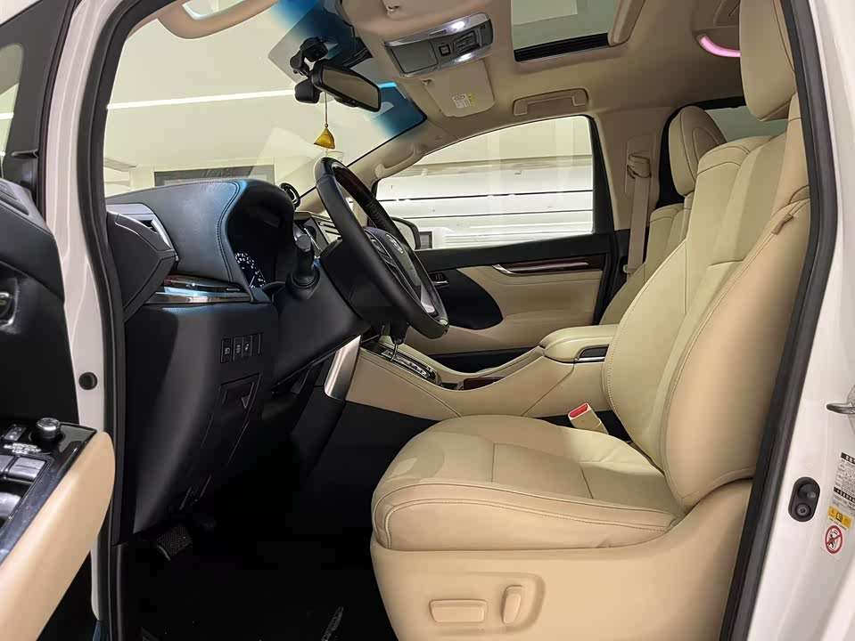 Toyota Elfa