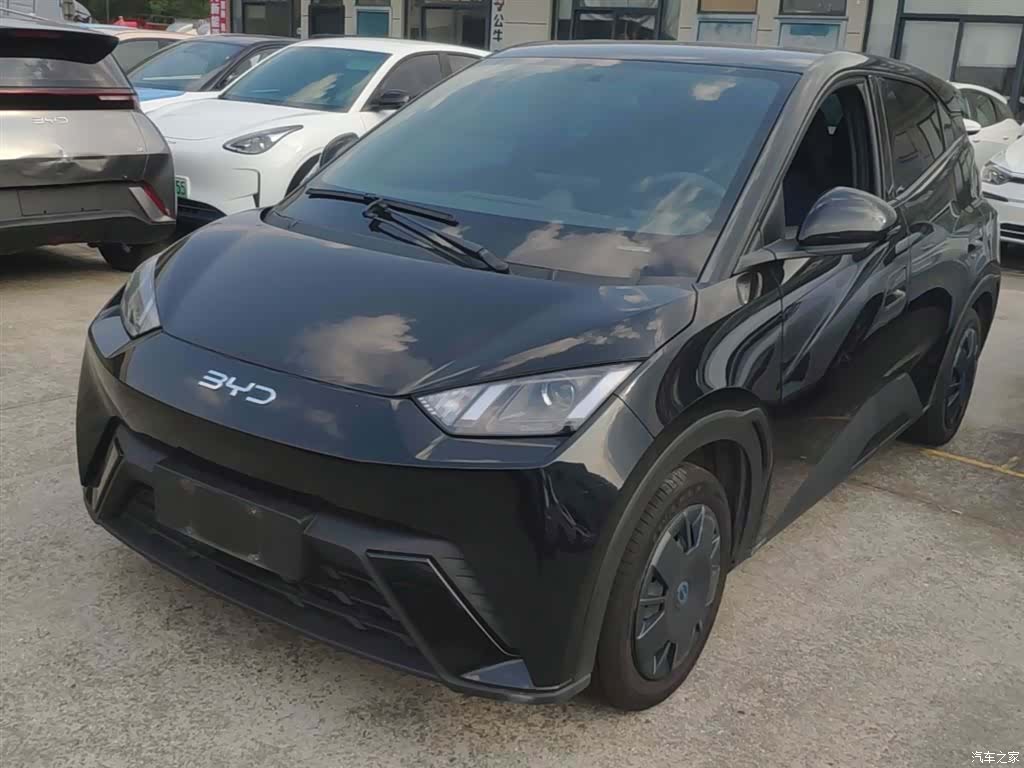 BYD Seagull, 2025 1