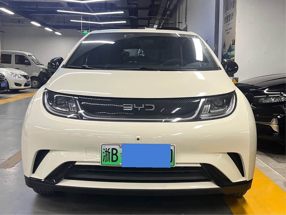BYD dolphin