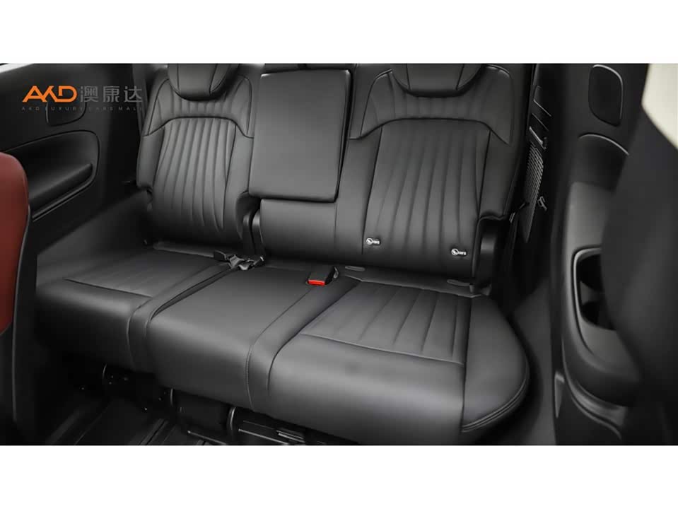 Trumpchi Trumpchi E9