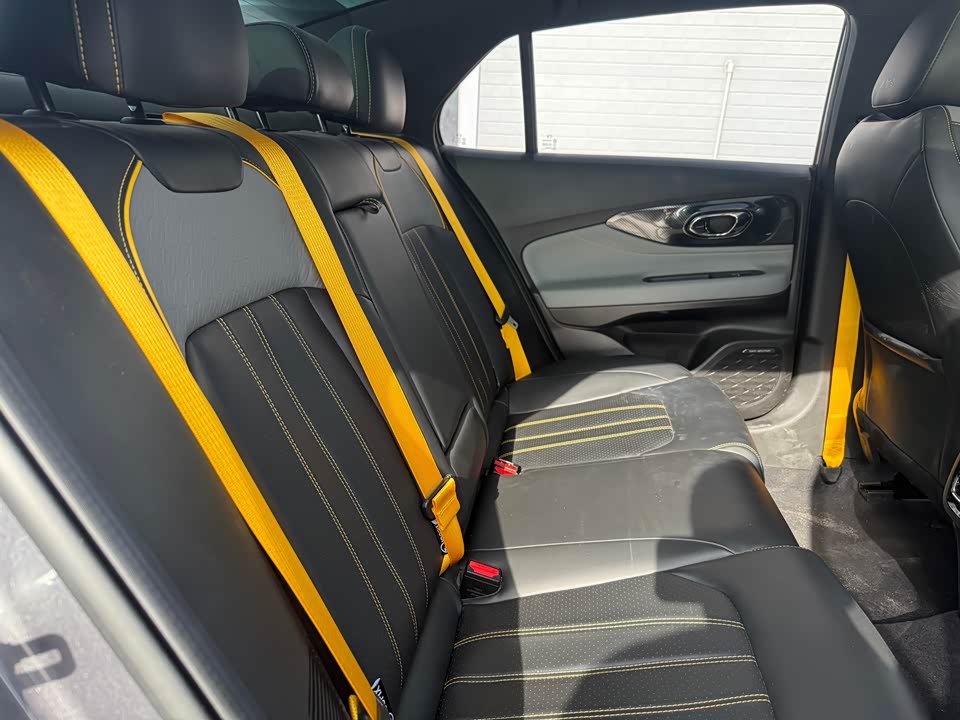 Trumpchi Shadow Leopard