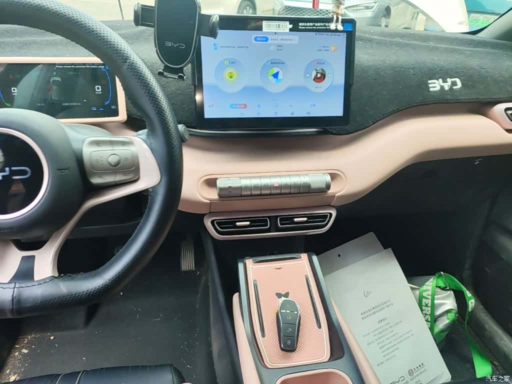 BYD Seagull, 2024 10