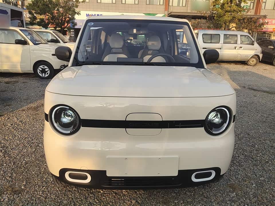 Geely Galaxy panda