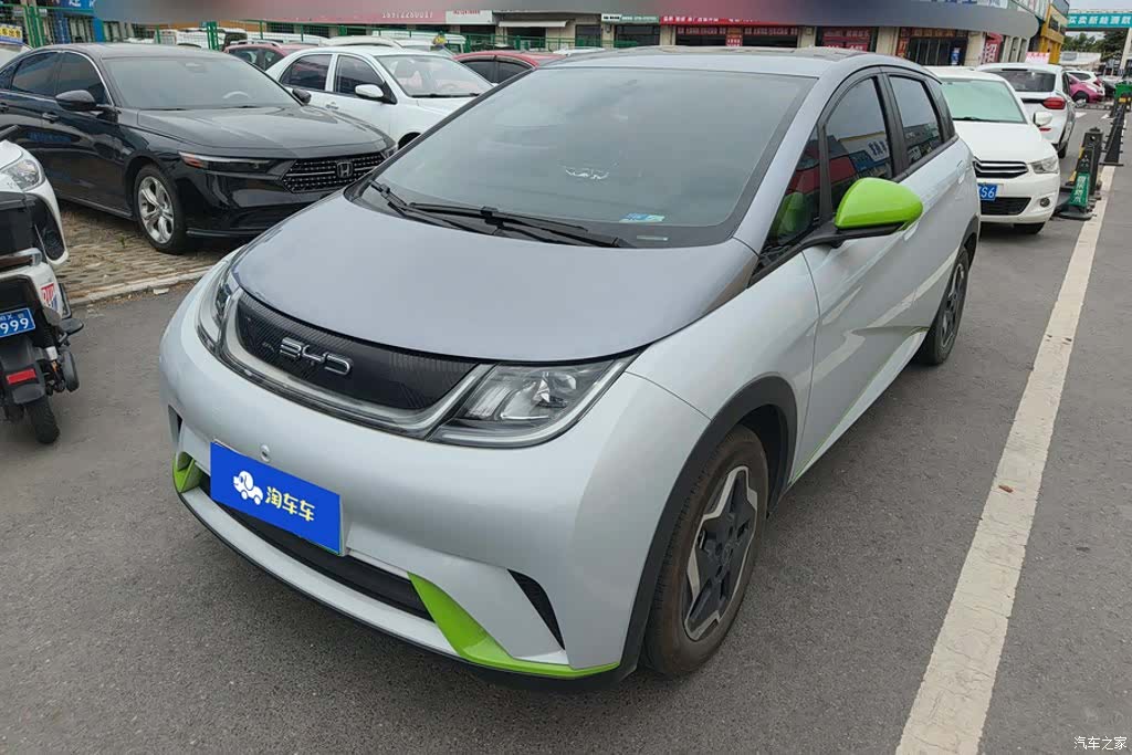 BYD Dolphin, 2022 1