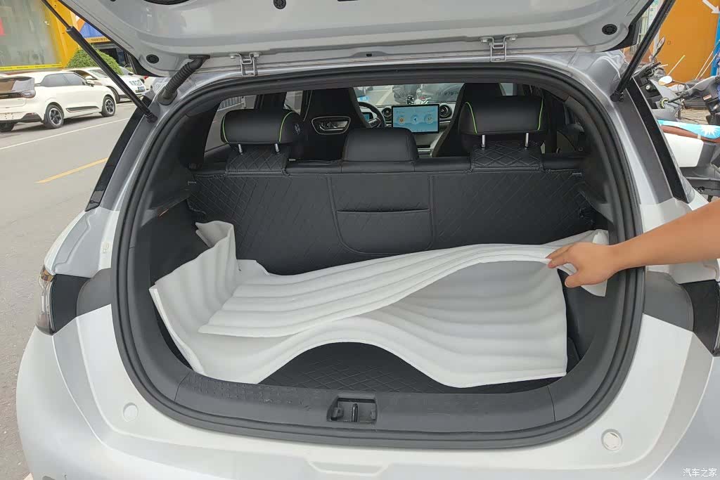 BYD Dolphin, 2022 4