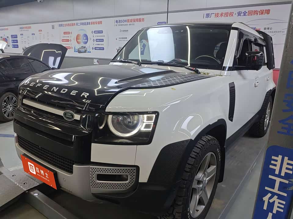 Land Rover guard