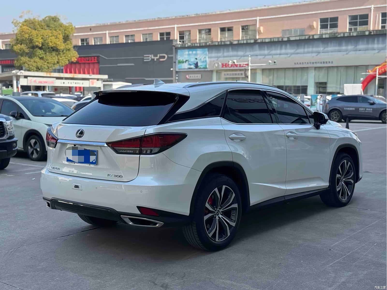Lexus RX, 2022 8