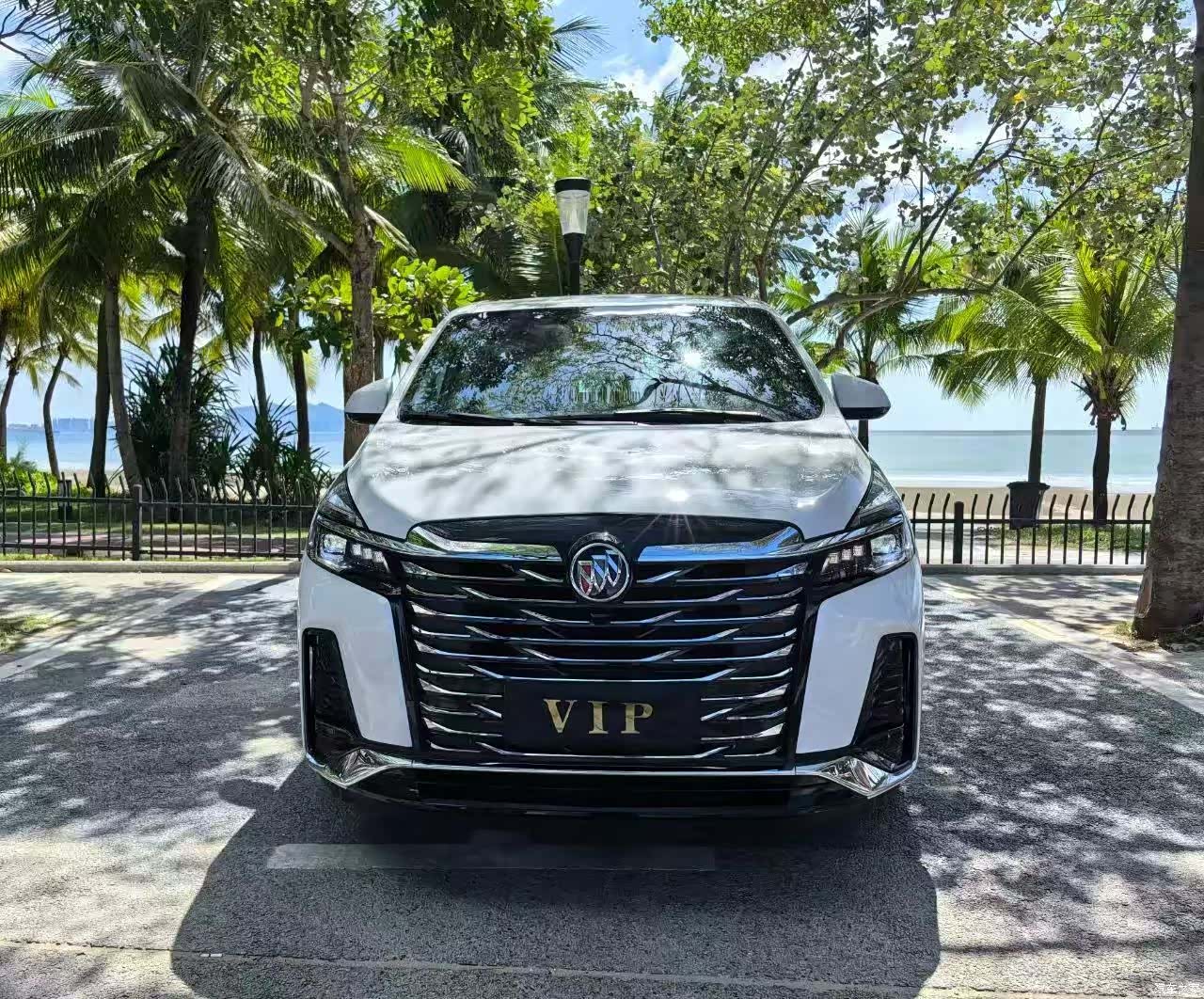 Buick GL8, 2021 1