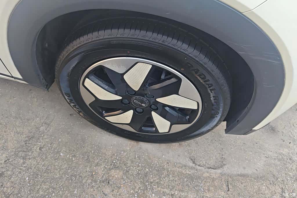 BYD Dolphin, 2024 6