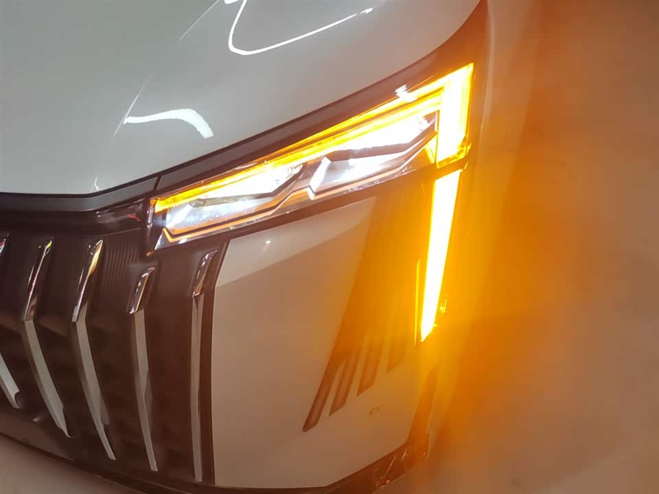 Trumpchi Trumpchi M8 Trumpchi Trumpchi M8
