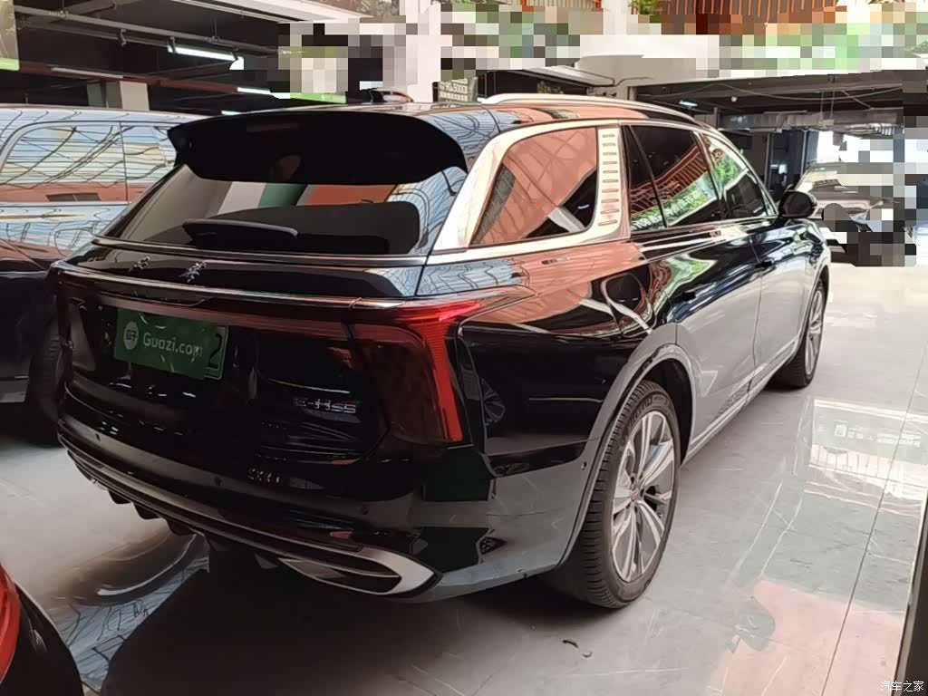 Hongqi E-HS9, 2023 7