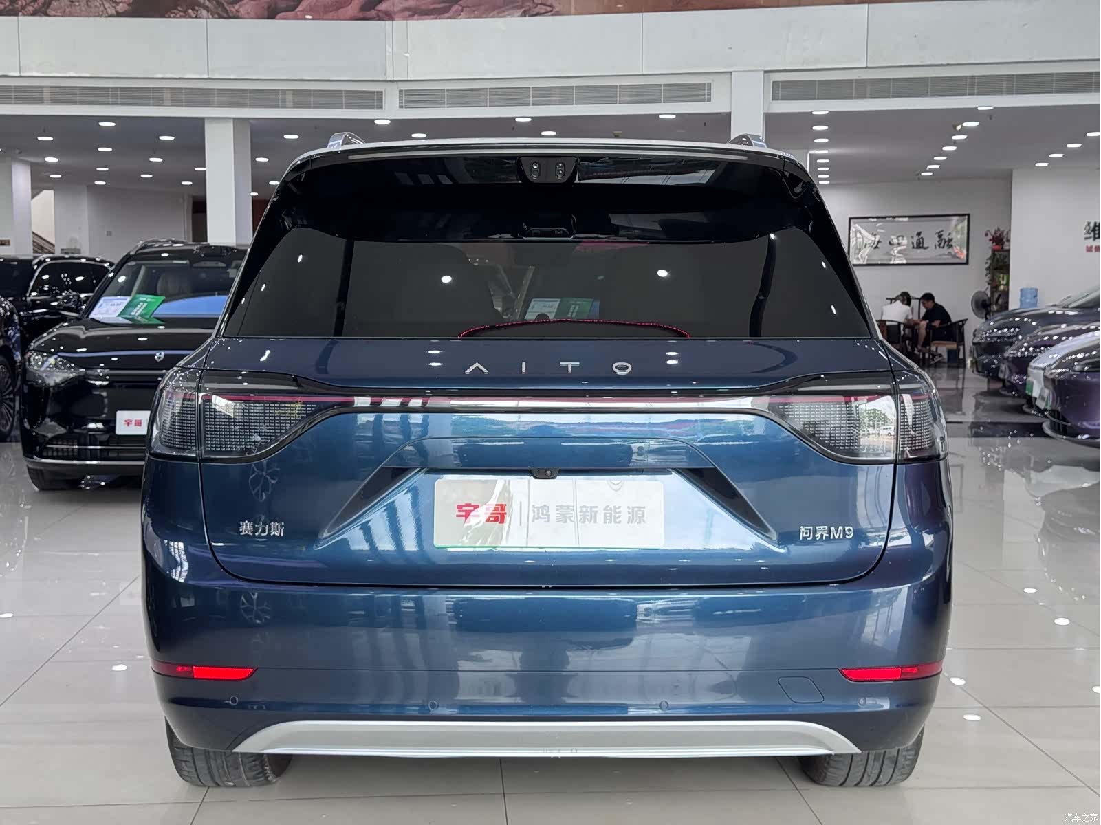 AITO M9, 2025 13