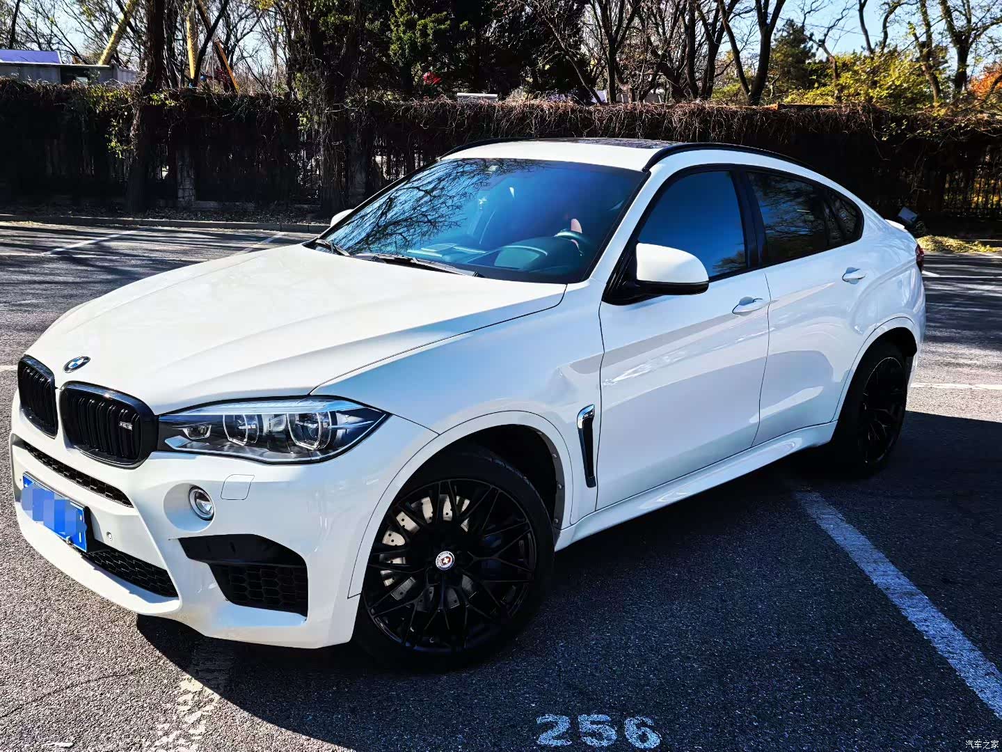 BMW X6, 2019 1