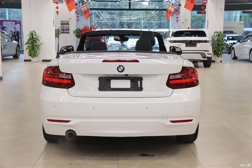 BMW 2 Series, 2017 4