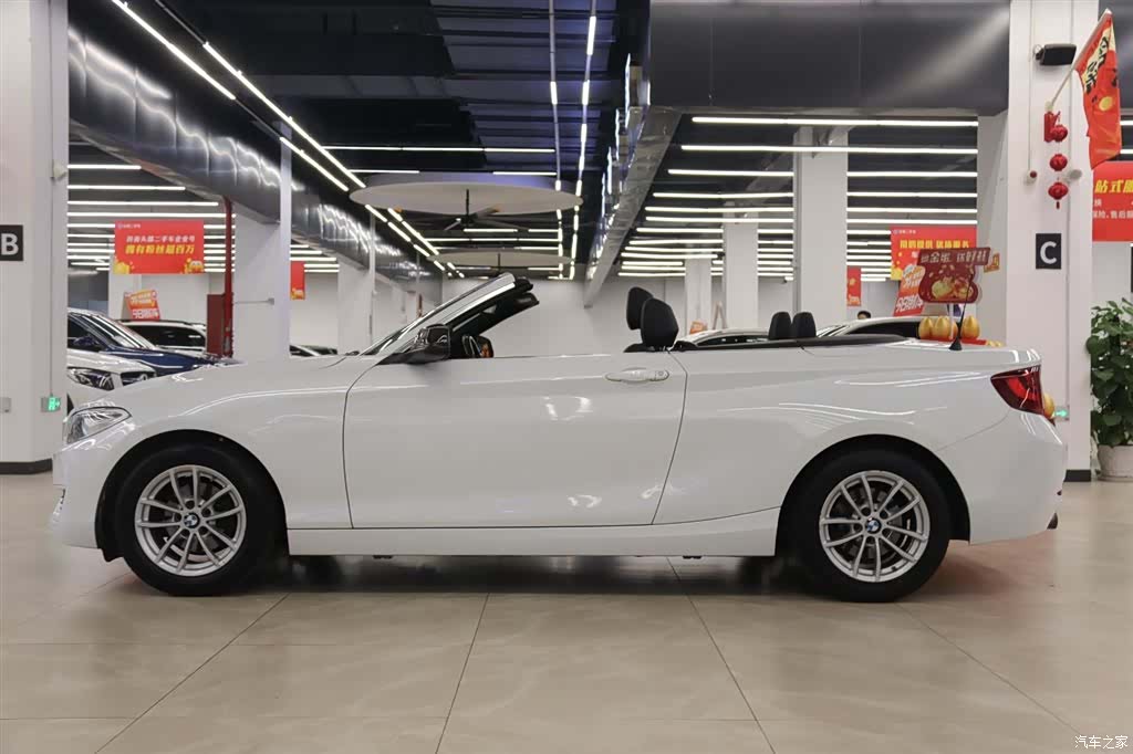 BMW 2 Series, 2017 3
