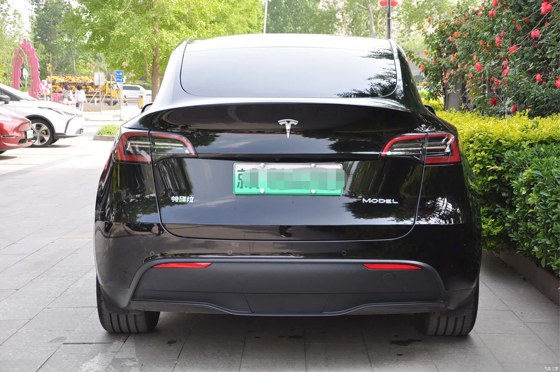 Tesla Model Y, 2023 все фото