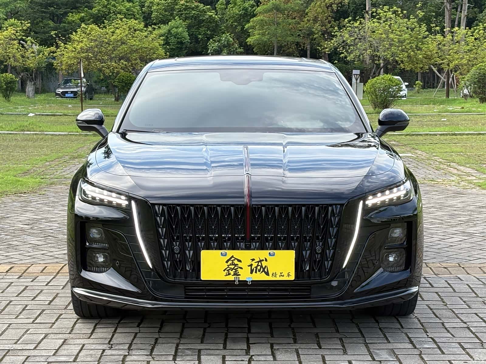 Hongqi H5, 2025 3