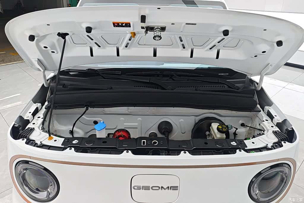 Geely Panda, 2023 10