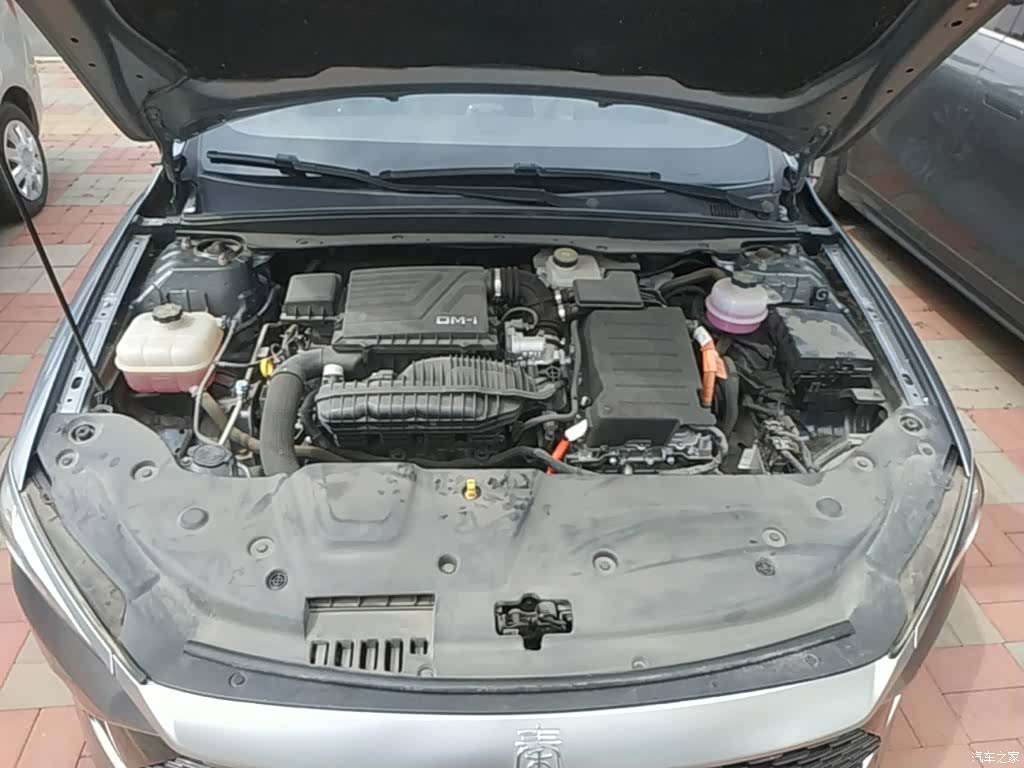BYD Qin, 2024 20