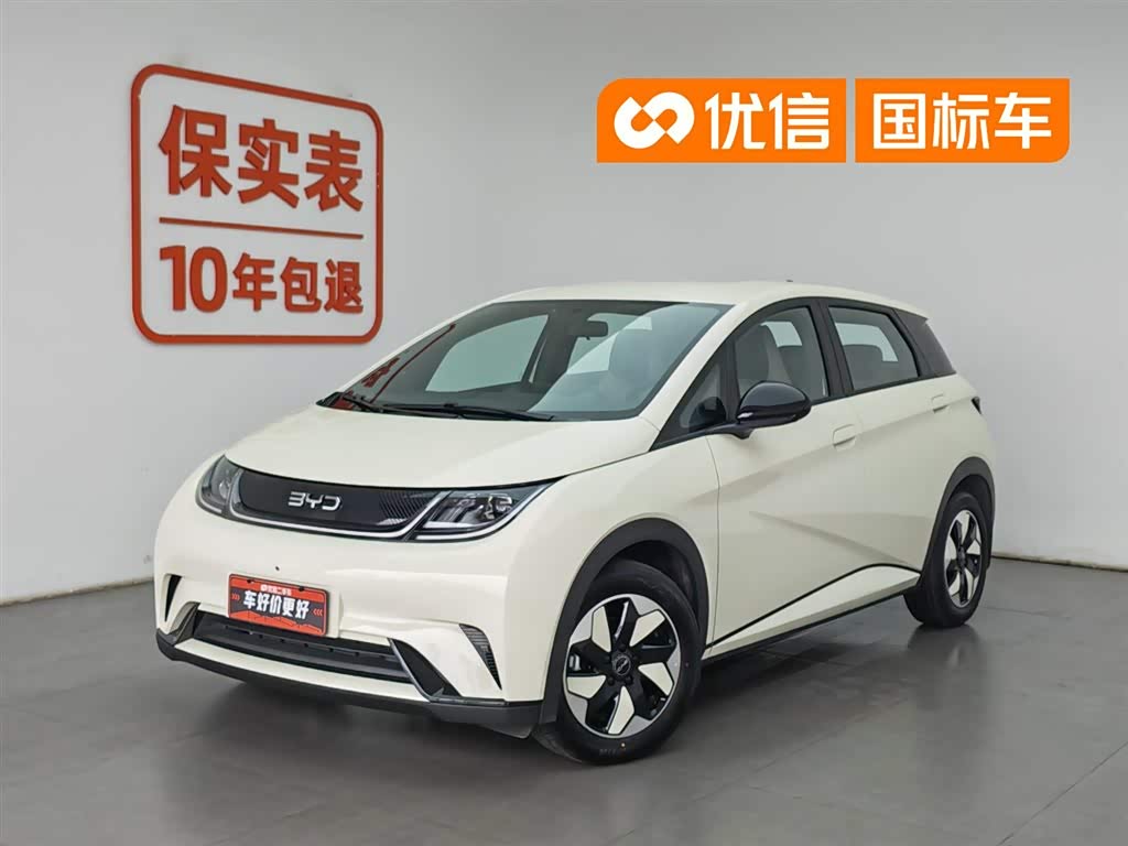 BYD Dolphin