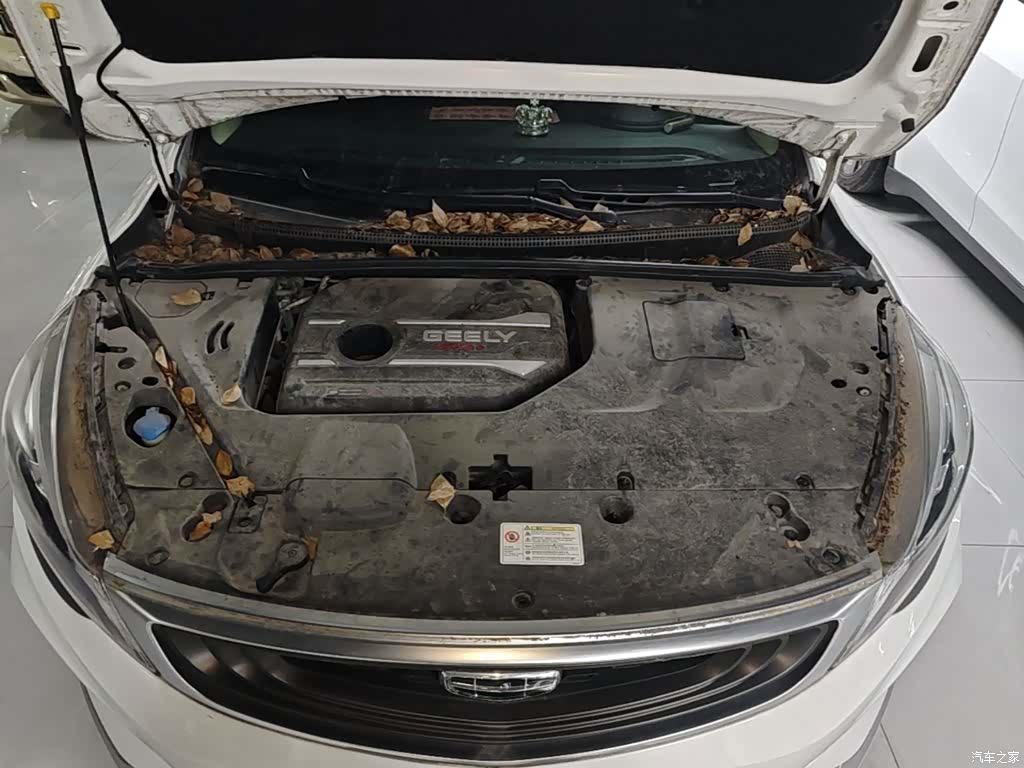Geely Emgrand, 2020 20