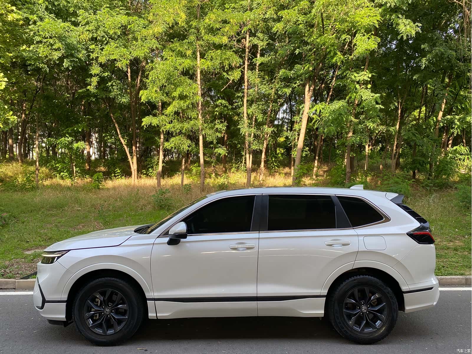 Honda Breeze, 2023 3