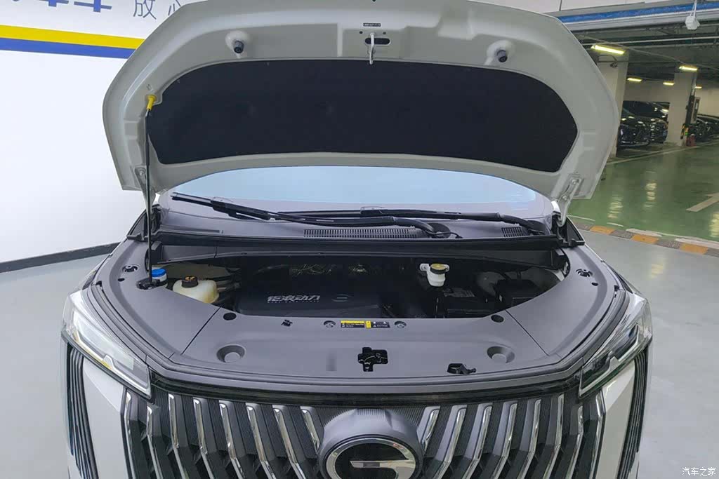 Trumpchi M8, 2023 10