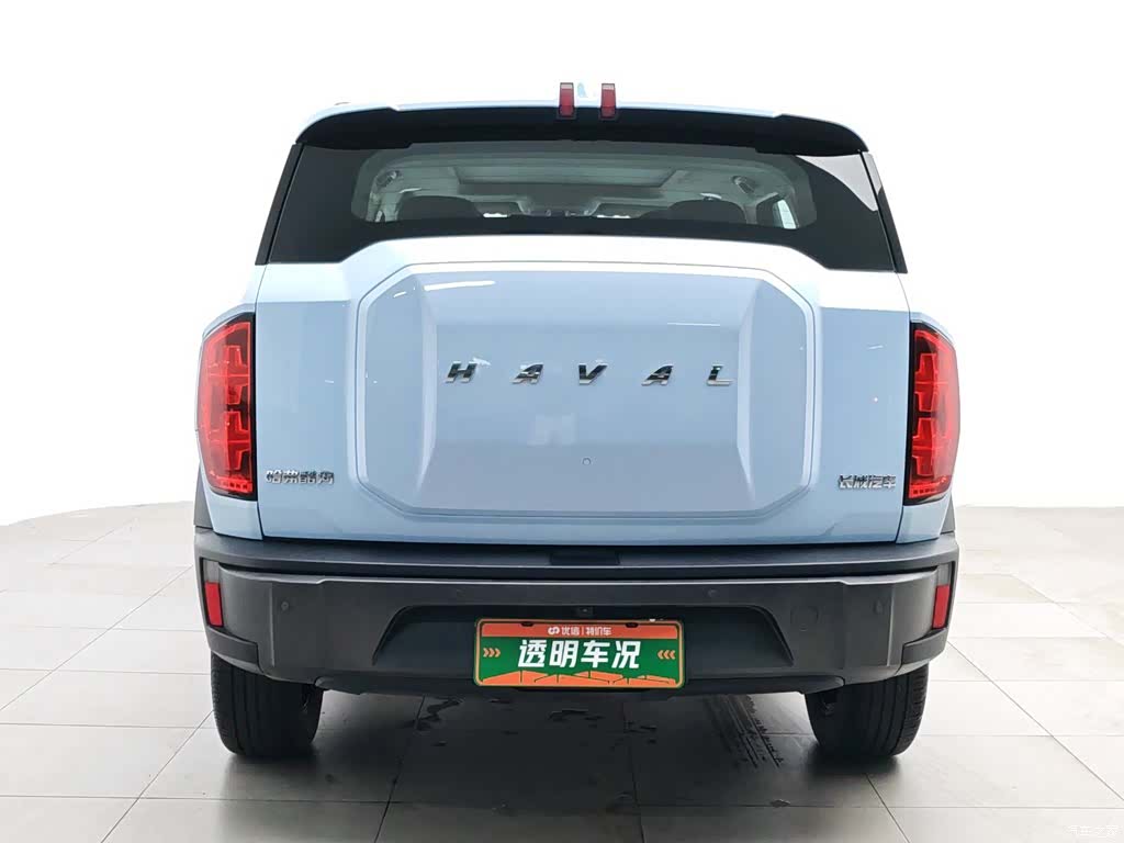 Haval Cool Dog, 2023 4