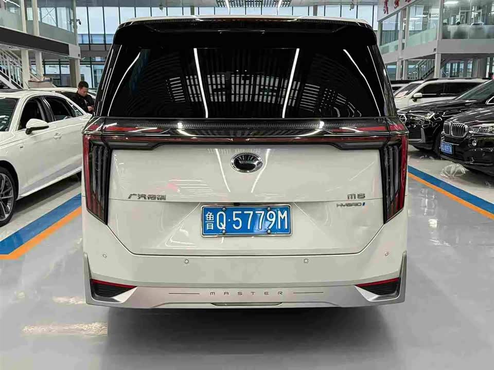 Trumpchi Trumpchi M8