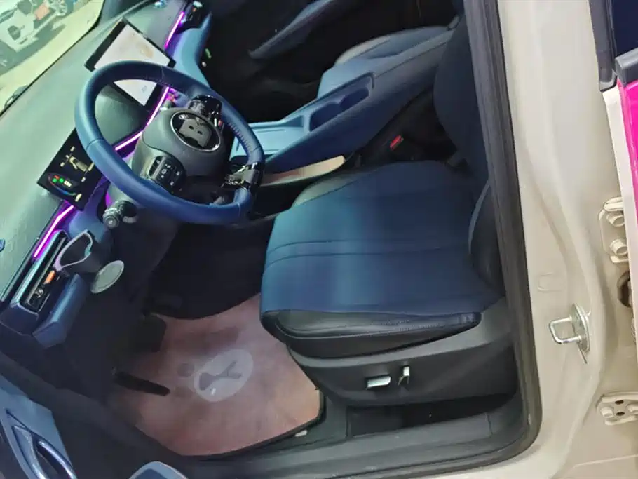 BYD Seagull