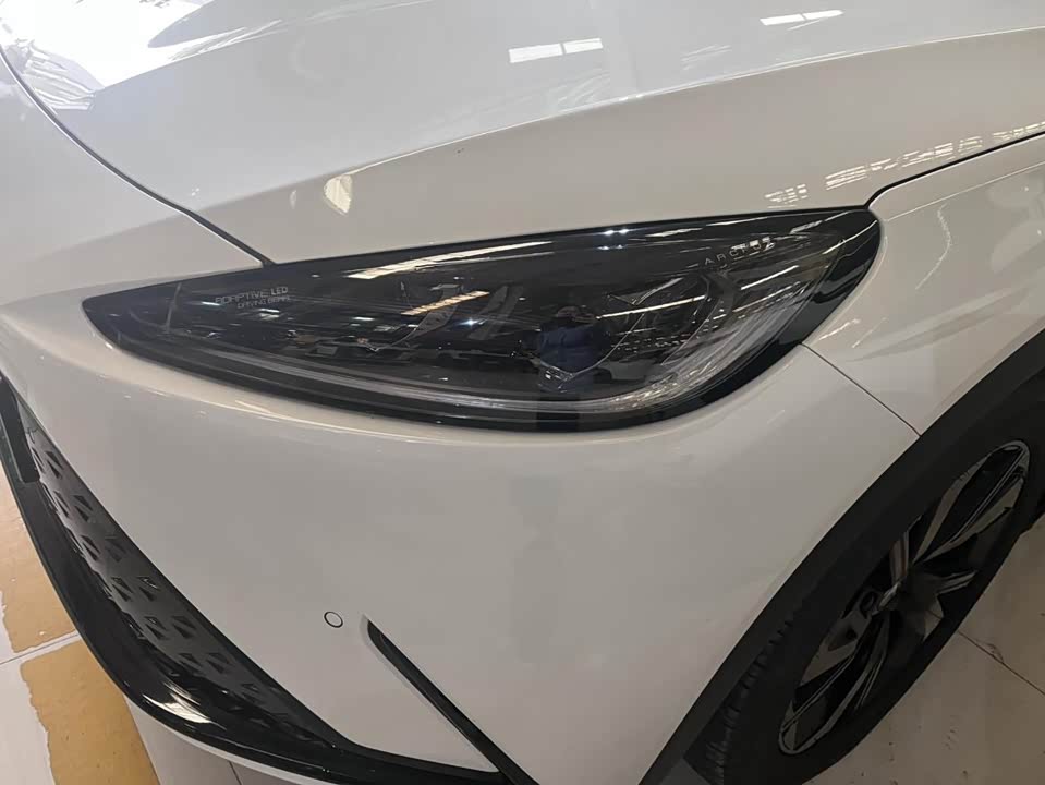 ARCFOX Polar Fox Alpha S