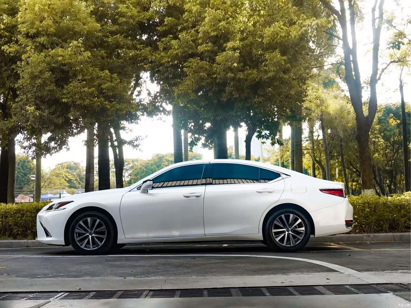Lexus ES, 2019 7