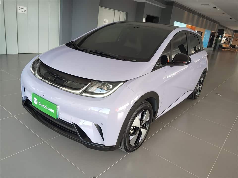 BYD dolphin