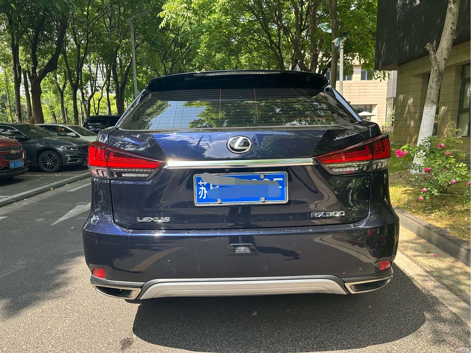 Lexus RX, 2021 все фото